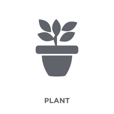 Bitki simgesi. Bitki tasarım konsepti tarım, tarım ve Bahçe koleksiyonu. Basit öğe vektör çizim beyaz arka plan üzerinde.