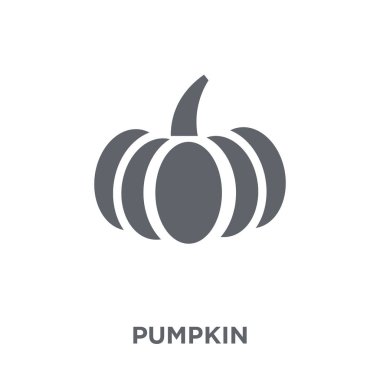 Kabak simgesi. Kabak tasarım konsepti tarım, tarım ve Bahçe koleksiyonu. Basit öğe vektör çizim beyaz arka plan üzerinde.