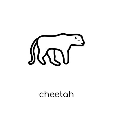 Cheetah simgesi. Modaya uygun modern düz doğrusal vektör Cheetah simgesi ince çizgi hayvanlar Collection, düzenlenebilir anahattı kontur vektör çizim beyaz arka plan üzerinde