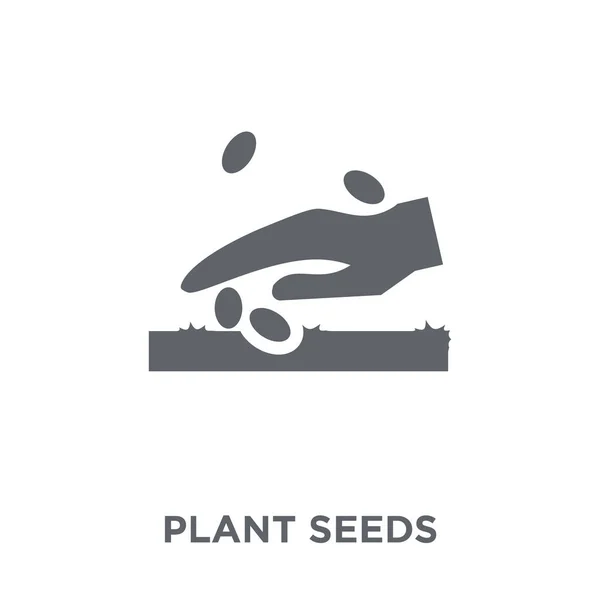 Plant Zaden Pictogram Plant Zaden Ontwerpconcept Van Landbouw Landbouw Tuinieren — Stockvector