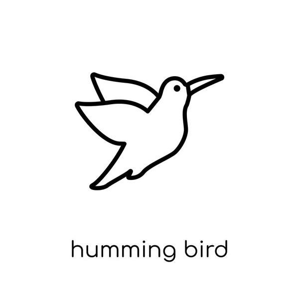 Humming Bird Ikona Modny Nowoczesny Liniowych Płaskich Wektor Humming Bird — Wektor stockowy
