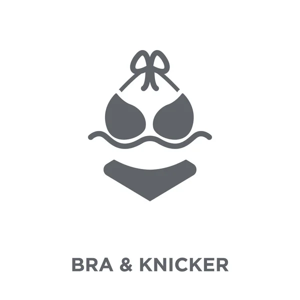 Bra Knicker Icono Concepto Diseño Bra Knicker Colección Bra Knicker — Vector de stock