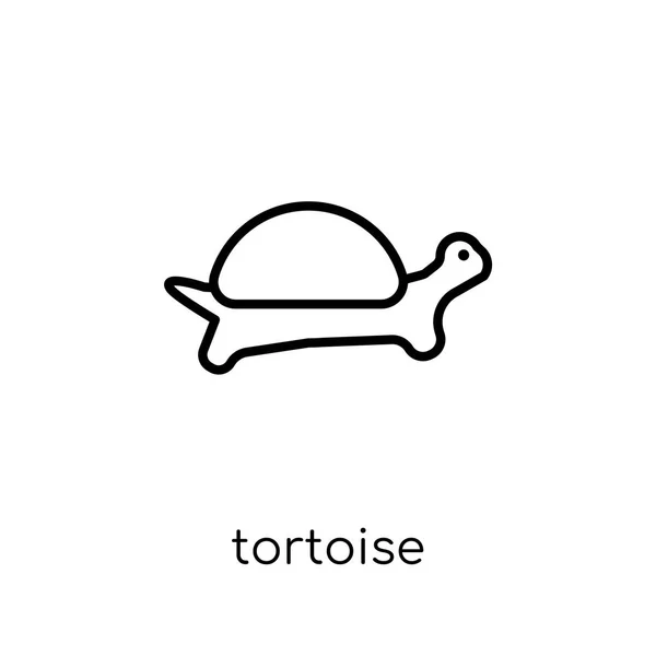 Icono Tortuga Moderno Moderno Vector Lineal Plano Tortuga Icono Sobre — Vector de stock