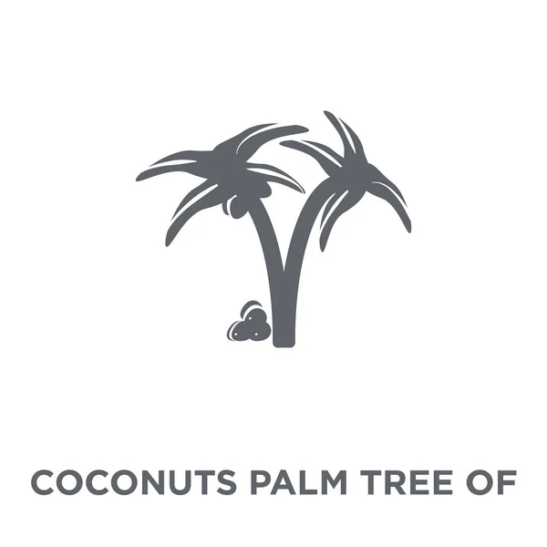 Kokosnoten Palm Tree Van Brazilië Pictogram Kokosnoten Palm Boom Van — Stockvector