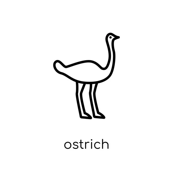 Ostrich Icon Trendy Modern Flat Linear Vector Ostrich Icon White — Stock Vector