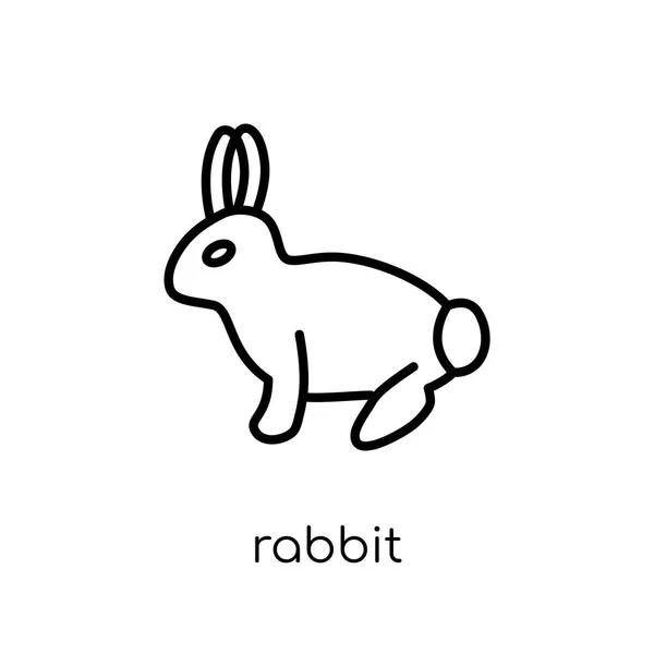 Rabbit Icon Trendy Modern Flat Linear Vector Rabbit Icon White — Stock Vector