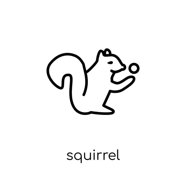 Squirrel Icon Trendy Modern Flat Linear Vector Squirrel Icon White — Stock Vector