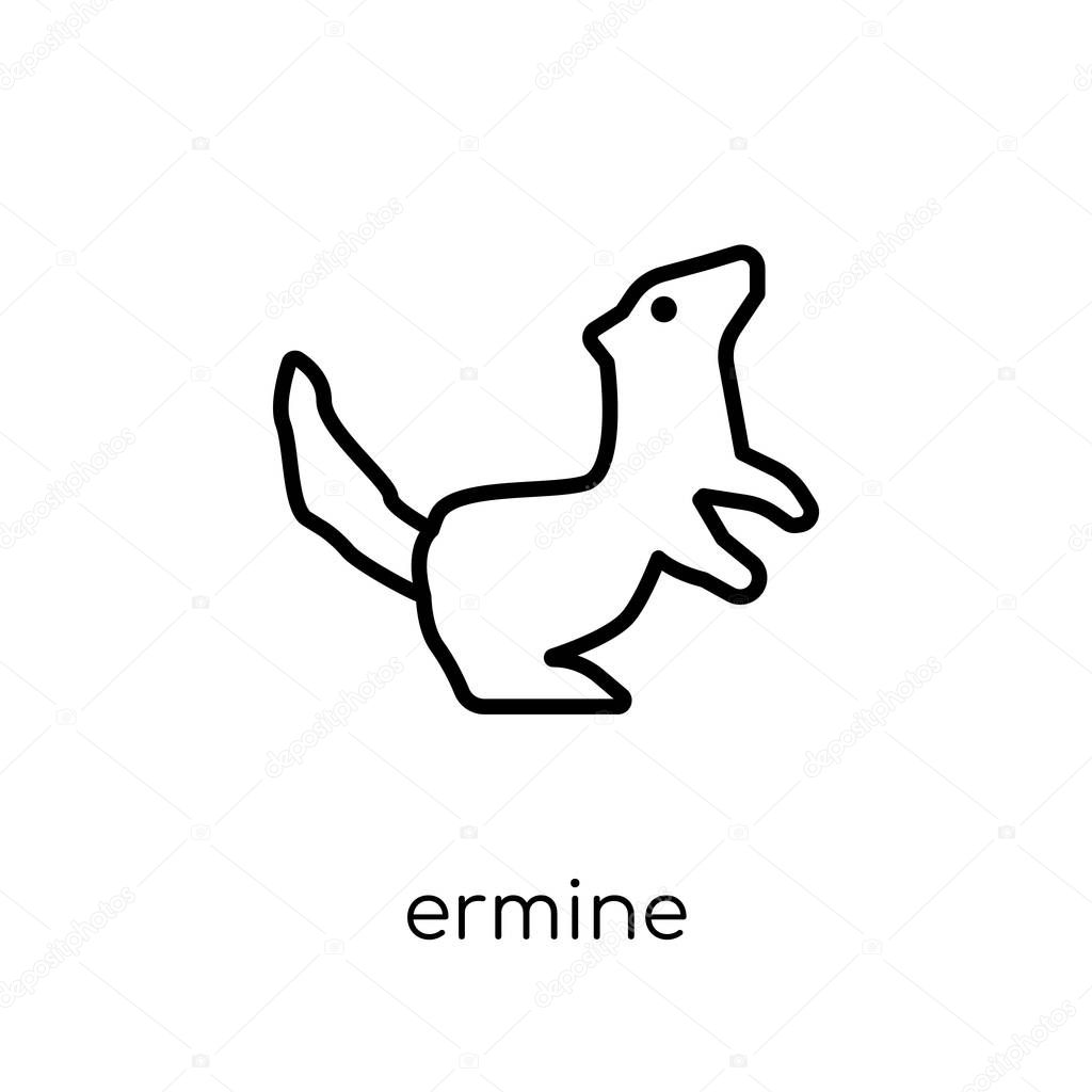 Ermine icon. Trendy modern flat linear vector Ermine icon on white background from thin line animals collection, editable outline stroke vector illustration