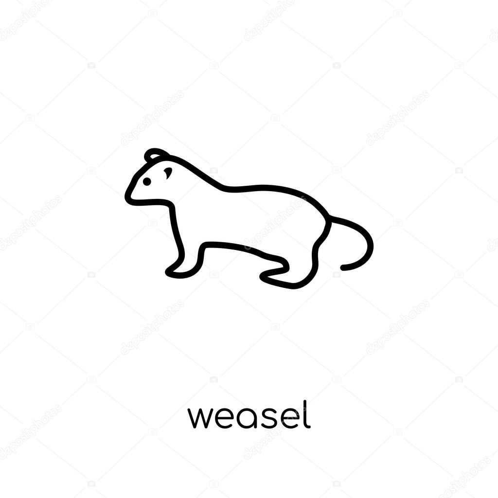 weasel icon. Trendy modern flat linear vector weasel icon on white background from thin line animals collection, editable outline stroke vector illustration