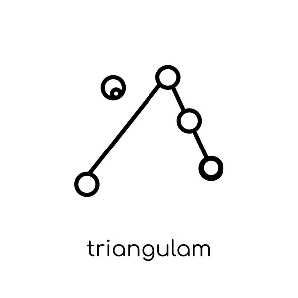 Triangulam Australe Icon Trendy Modern Flat Linear Vector Triangulam Australe — Stock Vector