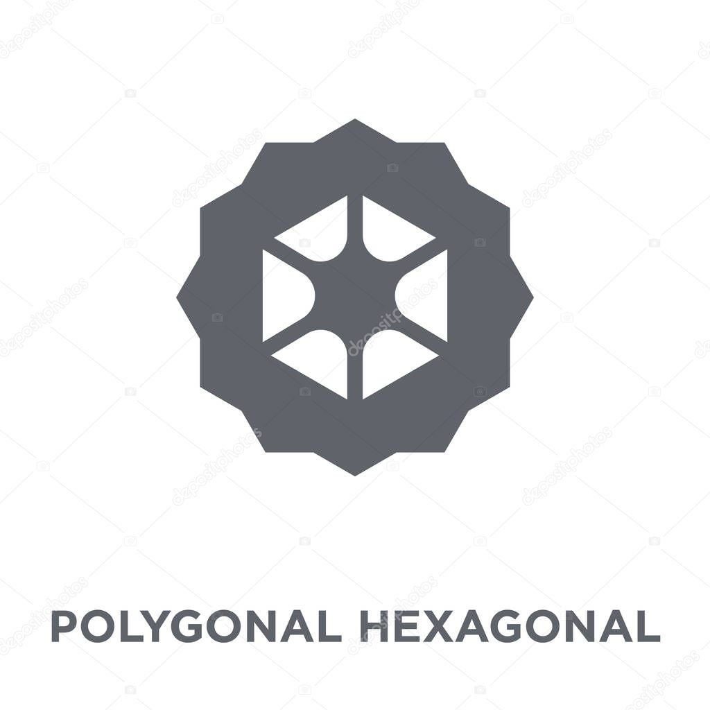 Polygonal hexagonal icon. Polygonal hexagonal design concept from Geometry collection. Simple element vector illustration on white background.