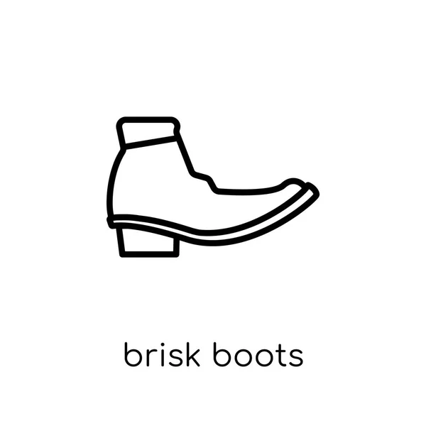轻快的靴子图标 时尚现代平面线性矢量轻快靴子图标在白色背景从细线 B片靴子收集 概述向量例证 — 图库矢量图片