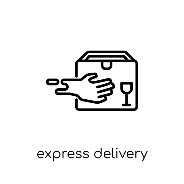 Icono Entrega Express Moderno Moderno Vector Lineal Plano Express Entrega — Vector de stock