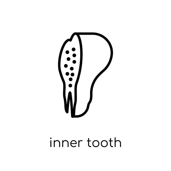 Значок Внутреннего Зуба Модный Современный Плоский Линейный Вектор Внутренний Зуб — стоковый вектор