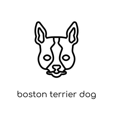 Boston Terrier köpek simgesi. Koleksiyon, düzenlenebilir anahattı kontur vektör çizim trendy modern düz doğrusal vektör Boston Terrier köpek simgesi ince çizgi üzerinden beyaz arka plan üzerinde köpekler