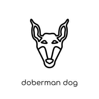 Doberman köpek simgesi. Modaya uygun modern düz doğrusal vektör Doberman köpek simgesi ince çizgi köpekler Collection, düzenlenebilir anahattı kontur vektör çizim beyaz arka plan üzerinde