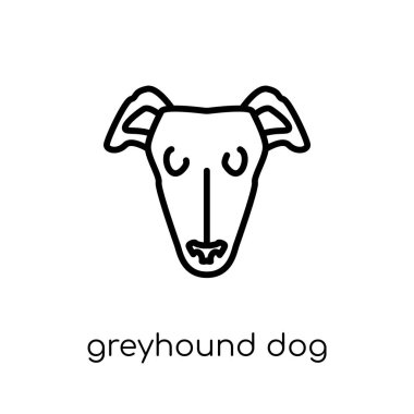 Greyhound köpek simgesi. Modaya uygun modern düz doğrusal vektör Greyhound köpek simgesi ince çizgi köpekler Collection, düzenlenebilir anahattı kontur vektör çizim beyaz arka plan üzerinde