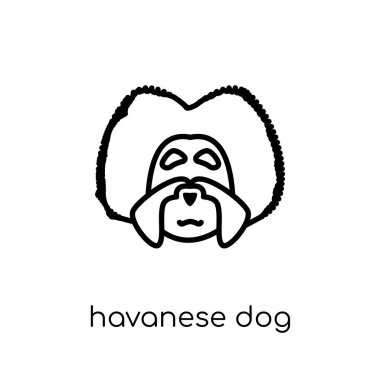 Havanese köpek simgesi. Modaya uygun modern düz doğrusal vektör Havanese köpek simgesi ince çizgi köpekler Collection, düzenlenebilir anahattı kontur vektör çizim beyaz arka plan üzerinde