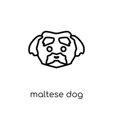 Malta köpek simgesi. Modaya uygun modern düz doğrusal vektör ince çizgi köpekler Collection, düzenlenebilir anahattı kontur vektör çizim beyaz arka plan üzerinde Malta köpek simgesi