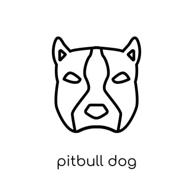 Pitbull köpek simgesi. Modaya uygun modern düz doğrusal vektör Pitbull köpek simgesi ince çizgi köpekler Collection, düzenlenebilir anahattı kontur vektör çizim beyaz arka plan üzerinde