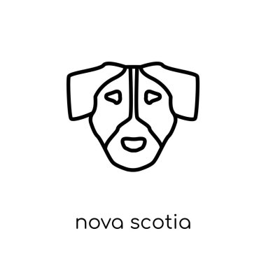 Nova scotia duck tolling retriever köpek simgesi. Modaya uygun modern düz doğrusal vektör nova scotia duck tolling Retriever köpek simgesi ince çizgi köpekler koleksiyonundan beyaz arka plan üzerinde Anahat vektör çizim