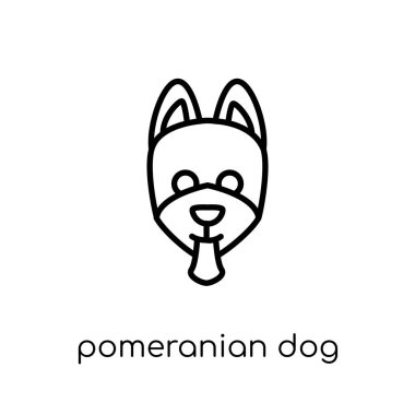 Pomeranian köpek simgesi. Modaya uygun modern düz doğrusal vektör Pomeranian köpek simgesi ince çizgi köpekler Collection, düzenlenebilir anahattı kontur vektör çizim beyaz arka plan üzerinde