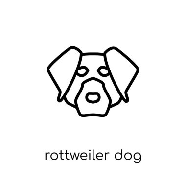 Rottweiler köpek simgesi. Modaya uygun modern düz doğrusal vektör Rottweiler köpek simgesi ince çizgi köpekler Collection, düzenlenebilir anahattı kontur vektör çizim beyaz arka plan üzerinde