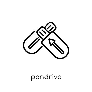 Pendrive simgesi. Modaya uygun modern düz doğrusal vektör ince çizgi elektronik cihazlar koleksiyonu, düzenlenebilir anahattı kontur vektör çizim beyaz arka plan üstünde Pendrive kutsal kişilerin resmi