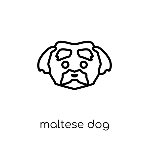 马耳他狗图标 时尚现代平线性向量马耳他狗图标在白色背景从细线狗汇集 可编辑的概述冲程向量例证 — 图库矢量图片
