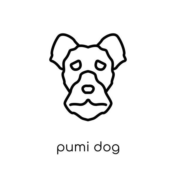 普米狗图标 时尚现代平面线性向量 Pumi 狗图标在白色背景从细线狗汇集 可编辑的概述冲程向量例证 — 图库矢量图片