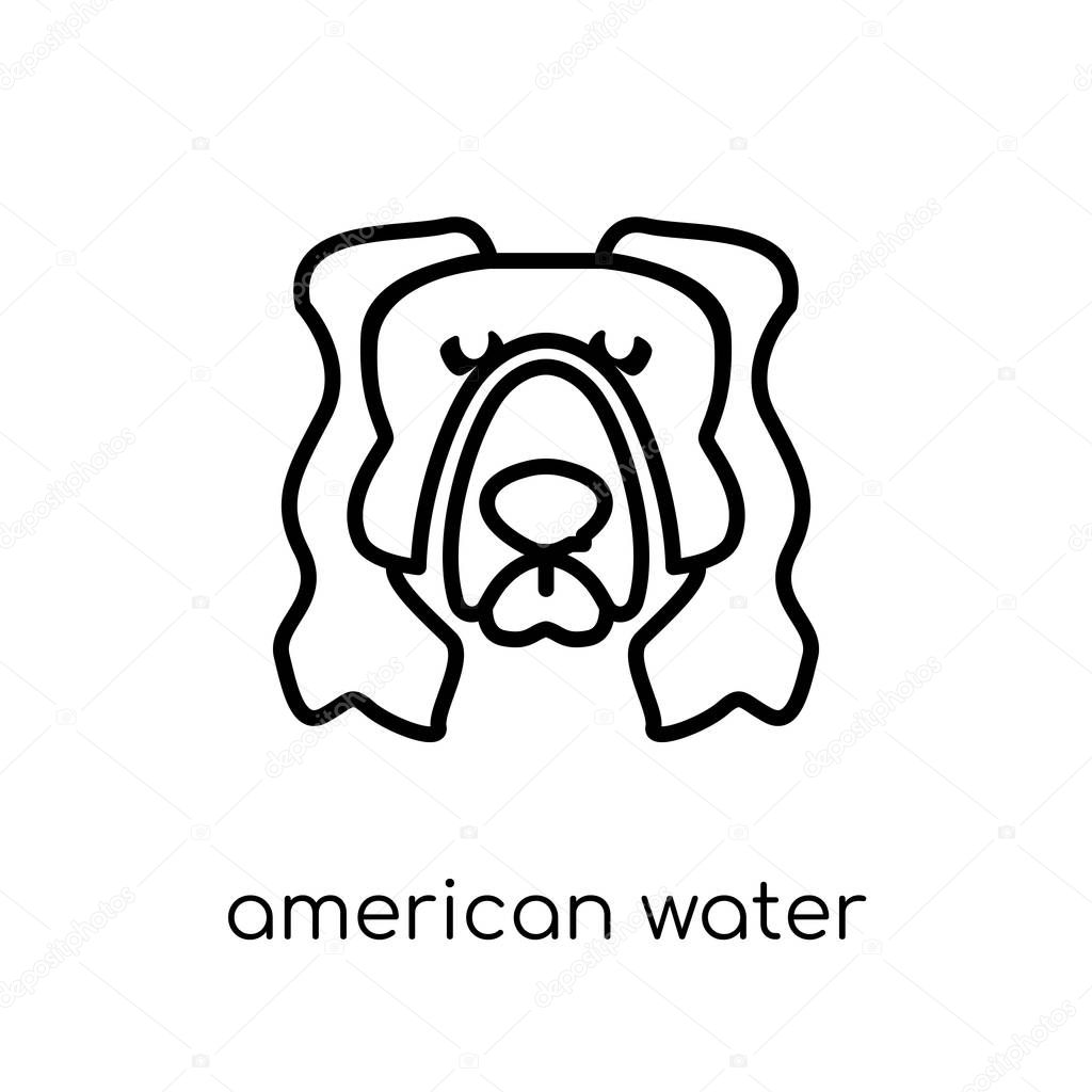 American Water Spaniel dog icon. Trendy modern flat linear vector American Water Spaniel dog icon on white background from thin line dogs collection, editable outline stroke vector illustration