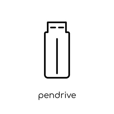 pendrive simgesi. Trendy modern düz doğrusal vektör pendrive üstünde kutsal kişilerin resmi--dan ince çizgi elektronik cihazlar koleksiyonu, Anahat vektör çizim beyaz arka plan