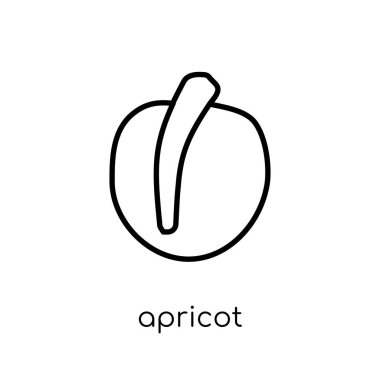 kayısı simgesi. Modaya uygun modern düz doğrusal ince çizgi meyve gelen beyaz zemin üzerine kayısı simgesi ve Sebze toplama, Anahat vektör çizim vektör