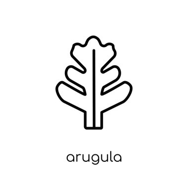 roka simgesi. Modaya uygun modern düz doğrusal vektör roka simgesi ince çizgi meyve ve Sebze toplama, Anahat vektör çizim beyaz arka plan üzerinde