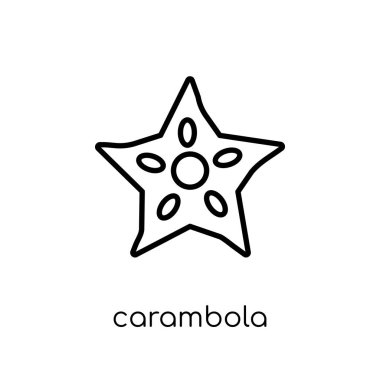 Carambola simgesi. Modaya uygun modern düz doğrusal vektör carambola simgesi ince çizgi meyve ve Sebze toplama, Anahat vektör çizim beyaz arka plan üzerinde
