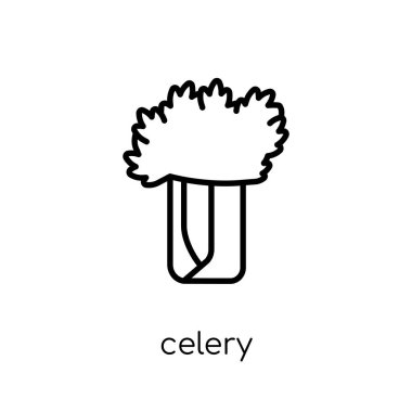 kereviz simgesi. Modaya uygun modern düz doğrusal vektör kereviz simgesi ince çizgi meyve ve Sebze toplama, Anahat vektör çizim beyaz arka plan üzerinde