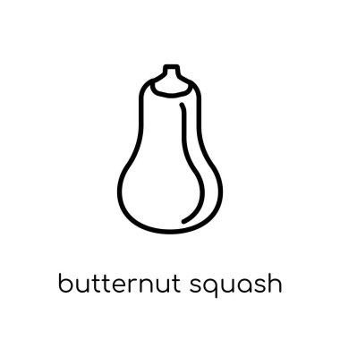 Balkabagi simgesi. Modaya uygun modern düz doğrusal Balkabagi simgesi beyaz arka planda ince çizgi meyve ve sebze Collection, Anahat vektör çizim vektör