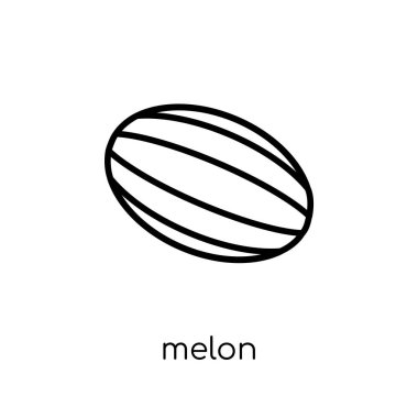 kavun simgesi. Modaya uygun modern düz doğrusal vektör kavun simgesi ince çizgi meyve ve Sebze toplama, Anahat vektör çizim beyaz arka plan üzerinde