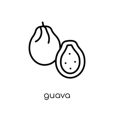 Guava simgesi. Modaya uygun modern düz doğrusal vektör guava simgesi ince çizgi meyve ve Sebze toplama, Anahat vektör çizim beyaz arka plan üzerinde