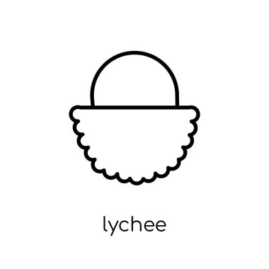Lychee simgesi. Modaya uygun modern düz doğrusal vektör lychee simgesi ince çizgi meyve ve Sebze toplama, Anahat vektör çizim beyaz arka plan üzerinde