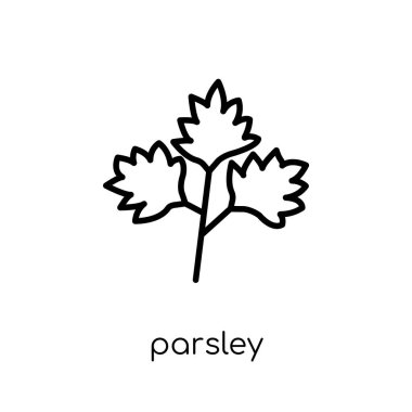 maydanoz simgesi. Modaya uygun modern düz doğrusal vektör maydanoz simgesi ince çizgi meyve ve Sebze toplama, Anahat vektör çizim beyaz arka plan üzerinde