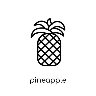 ananas simgesi. Modaya uygun modern düz doğrusal vektör ananas simgesi ince çizgi meyve ve Sebze toplama, Anahat vektör çizim beyaz arka plan üzerinde