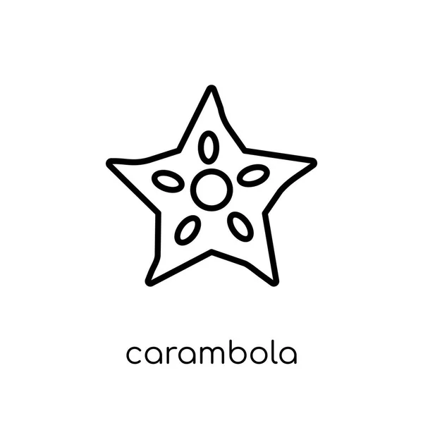 Carambola Pictogram Trendy Moderne Vlakke Lineaire Vector Carambola Icoon Een — Stockvector