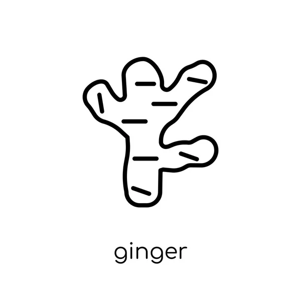 Ginger Icon Trendy Modern Flat Linear Vector Ginger Icon White — Stock Vector