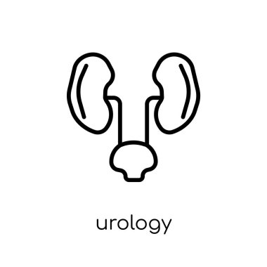 Üroloji simgesi. Modaya uygun modern düz doğrusal vektör Üroloji kutsal kişilerin resmi üstünde ince çizgi sağlık beyaz arka plan ve tıbbi koleksiyonu, düzenlenebilir anahattı kontur vektör çizim