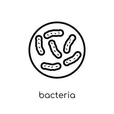 bakteri simgesi. Modaya uygun modern düz doğrusal vektör bakteri simgesi ince çizgi Collection, Anahat vektör çizim beyaz arka plan üzerinde