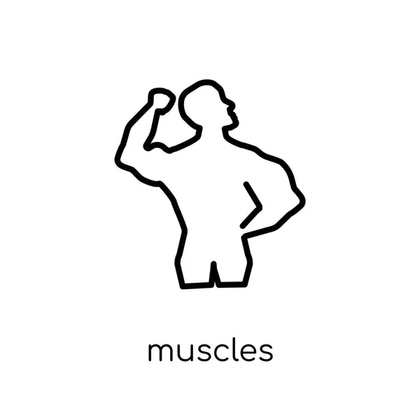 Icône Musculaire Vecteur Linéaire Plat Moderne Tendance Icône Des Muscles — Image vectorielle