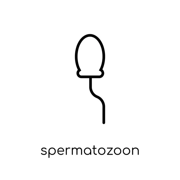 Icona Dello Spermatozoo Trendy Moderno Vettore Lineare Piatto Icona Spermatozoon — Vettoriale Stock