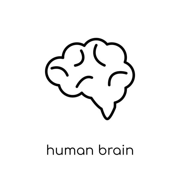 Ícone Cérebro Humano Vetor Linear Plano Moderno Moda Ícone Cérebro — Vetor de Stock