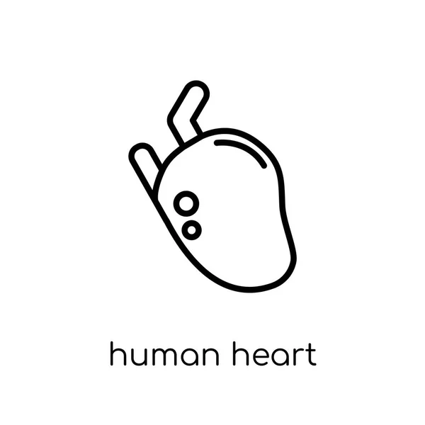 Icono Del Corazón Humano Moderno Vector Lineal Plano Moderno Icono — Vector de stock